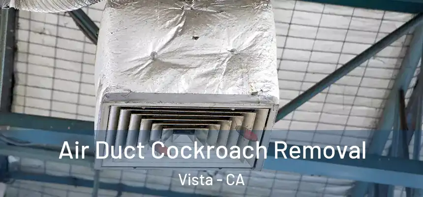 Air Duct Cockroach Removal Vista - CA