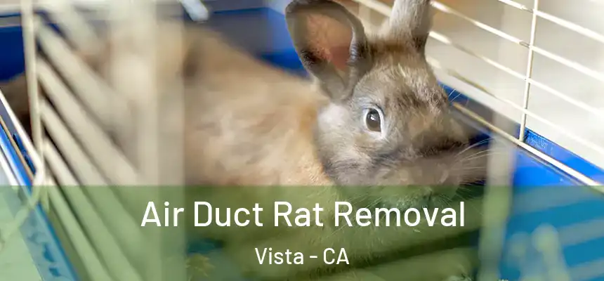 Air Duct Rat Removal Vista - CA
