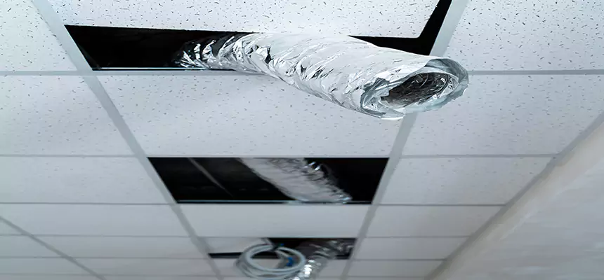 Affordable HVAC Sanitizing After Pest Removal in Vista