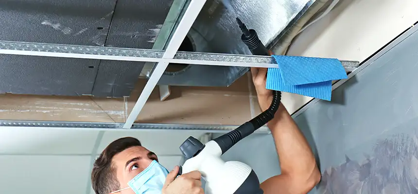 Our Air Duct Rodent Removal Services in Vista, CA