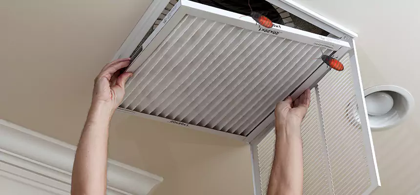 Our Insect Removal from Air Ducts Services in Vista, CA
