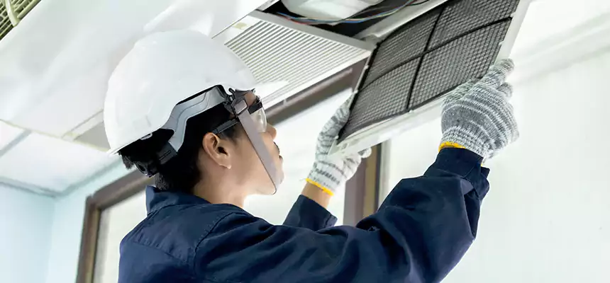 Our Mold & Mildew Removal from Air Ducts Services in Vista, CA