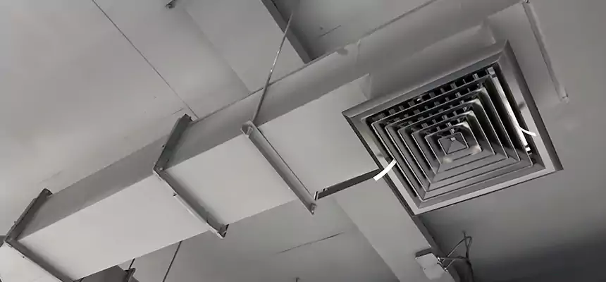 Our Rodent Droppings In Vents Services in Vista, CA