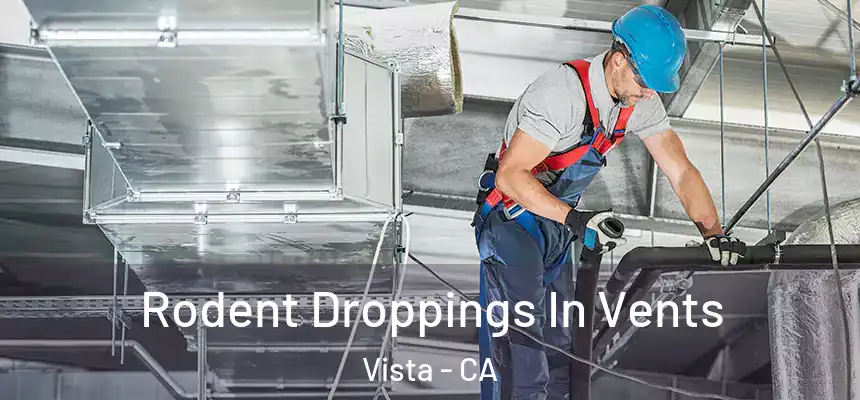  Rodent Droppings In Vents Vista - CA