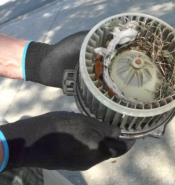 About Air Duct Mice Removal in Vista, CA