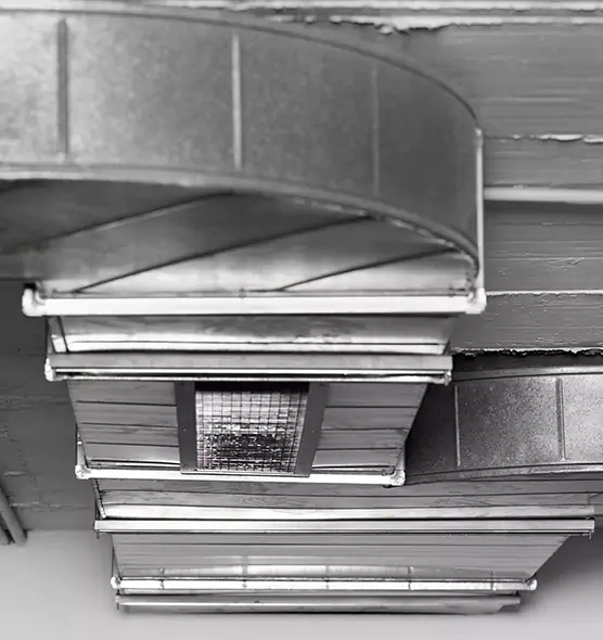 Professional Air Duct Pet Hair Removal in Vista, CA