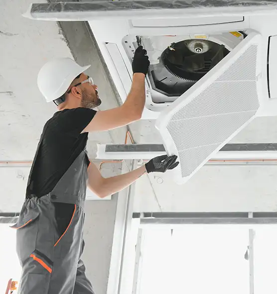 About Air Duct Rodent Removal in Vista, CA