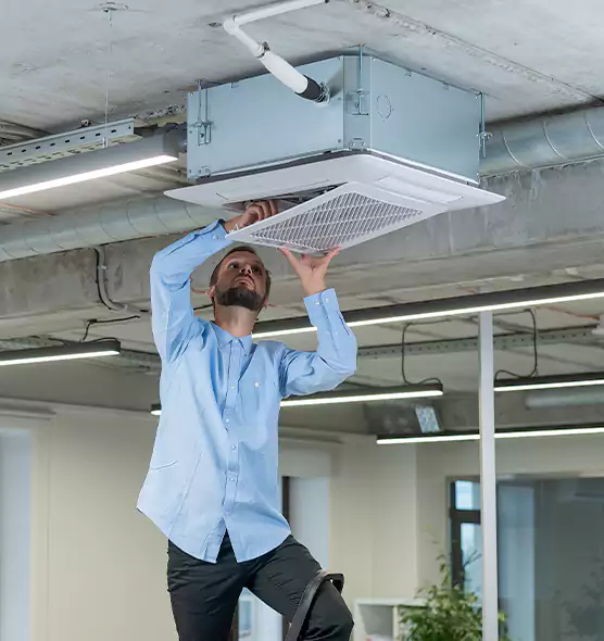 Advanced Rodent Droppings In Vents in Vista, CA