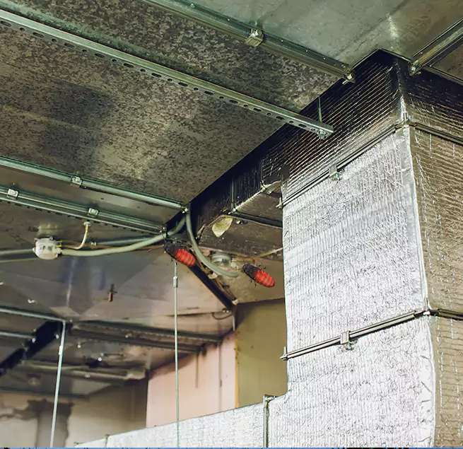 Why Homeowners & Businesses Trust Us in Vista, CA?