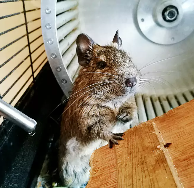 Why Homeowners & Businesses Trust Us Vista, CA