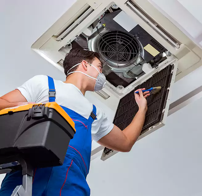 Why Homeowners & Businesses Trust Us in Vista, CA