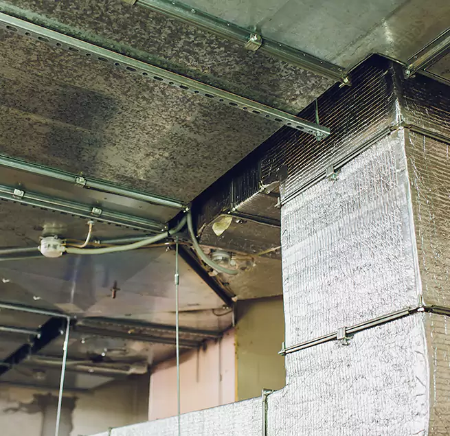 Why Homeowners & Businesses Trust Us in Vista, CA?